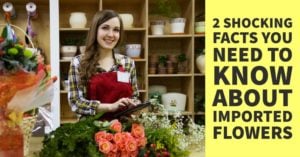 2 SHOCKING FACTS YOU NEED TO KNOW ABOUT IMPORTED FLOWERS