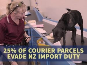 25% OF COURIER PARCELS EVADE NZ IMPORT DUTY