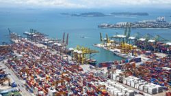 HOW DOES TRANS PACIFIC PARTNERSHIP (TPP) AFFECT YOUAND NZ_