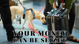 You Won’t Believe How Much Cash NZ Customs Dogs Find Per Year