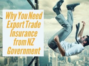 Why You Need Export Trade Insurance from NZ Goverment