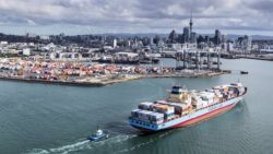 Back To The Port Of Auckland Future