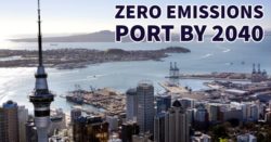 Ports of Auckland Profit is Down $5 mil and 50% of Ships Arrived Late_7