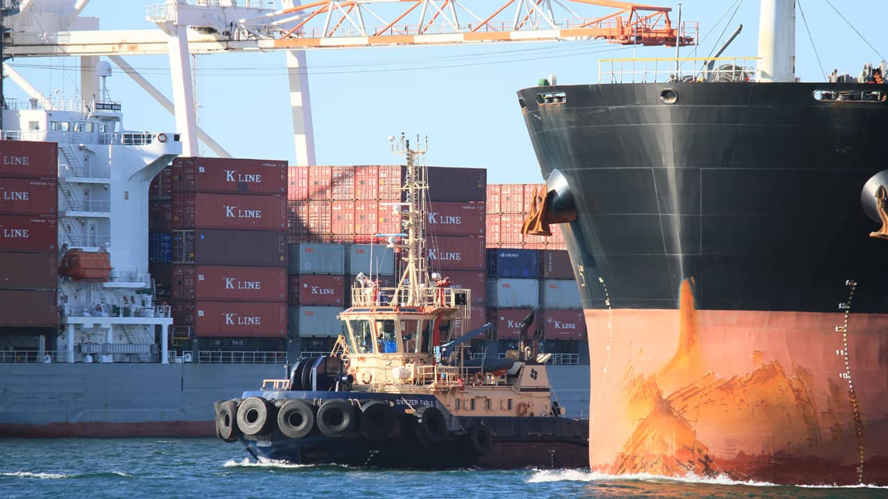 NZ Importers Face Huge Port Gridlocks & Container Shortages___