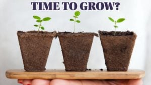 How To Grow Your Business?