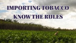 New Rules for Importing Tobacco Products into New Zealand
