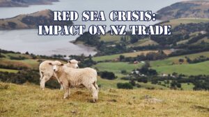 Impact of Red Sea Crisis on New Zealand's Trade Route